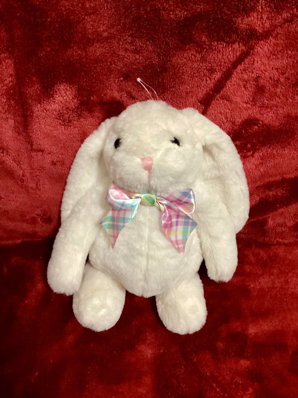 White Bunny